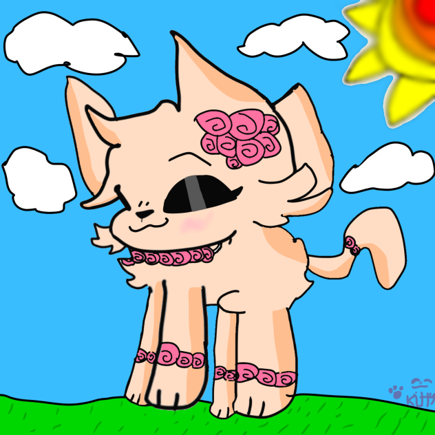 My pet cat ꨄ♡♡