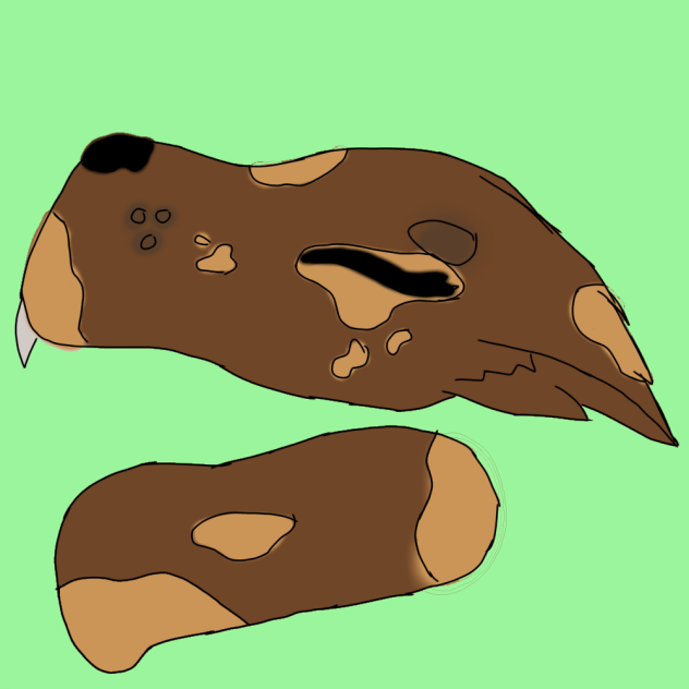 dragon puppet - ibisPaint