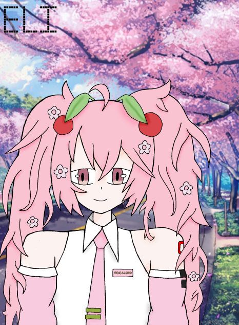Sakura miku!