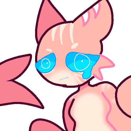 Kawaii shork
