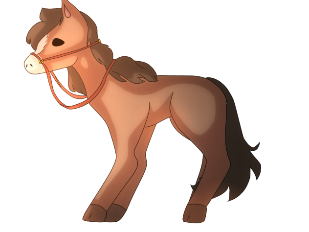 My attempt of drawing a horse