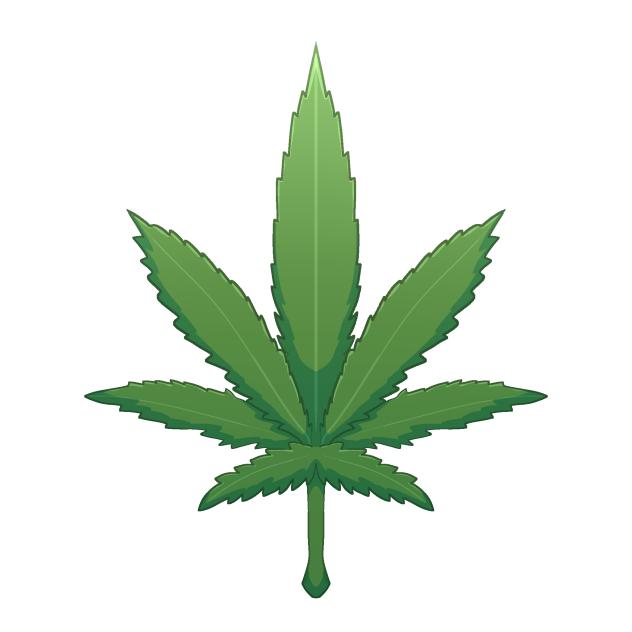 Mary Jane ASSET