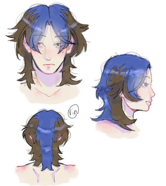 how I wanna dye my hair