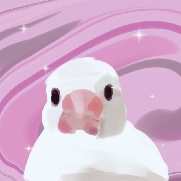 リクエストの文鳥‼︎