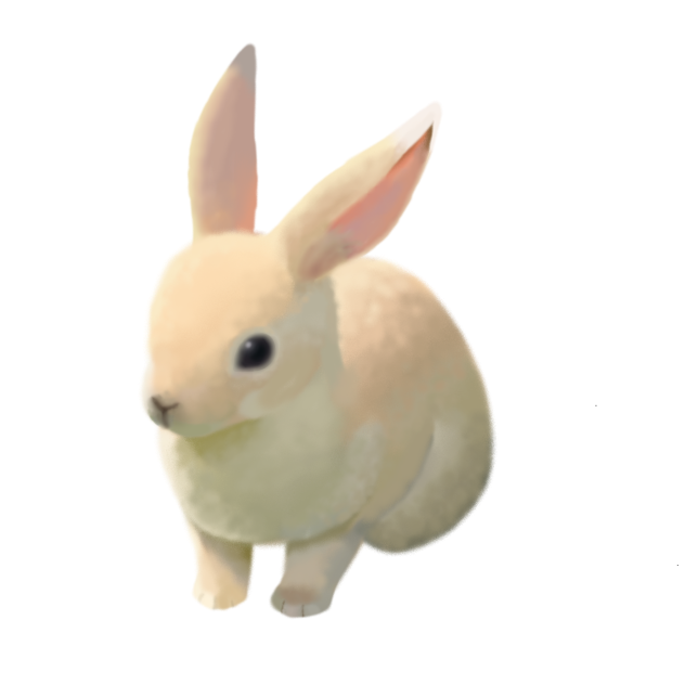 ウサギ