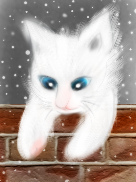 little kitty