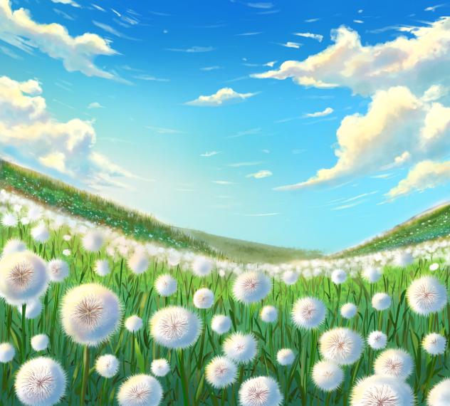 Dandelion field