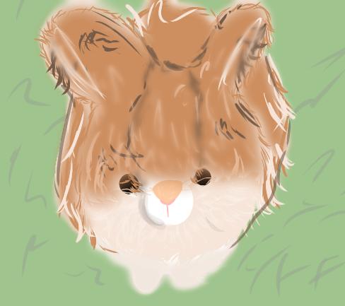 ぬいぐるみ！(落書き)