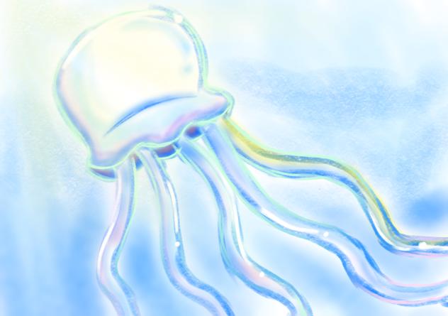クラゲ