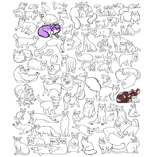 Cats collab😸