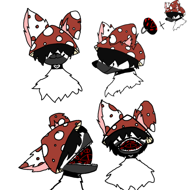 FURROS