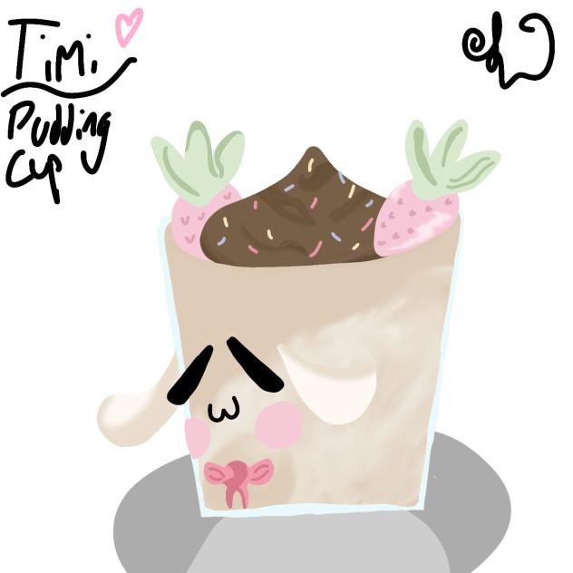 Timi pudding
