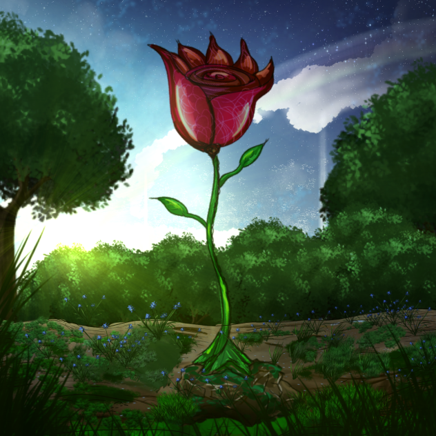 The rose