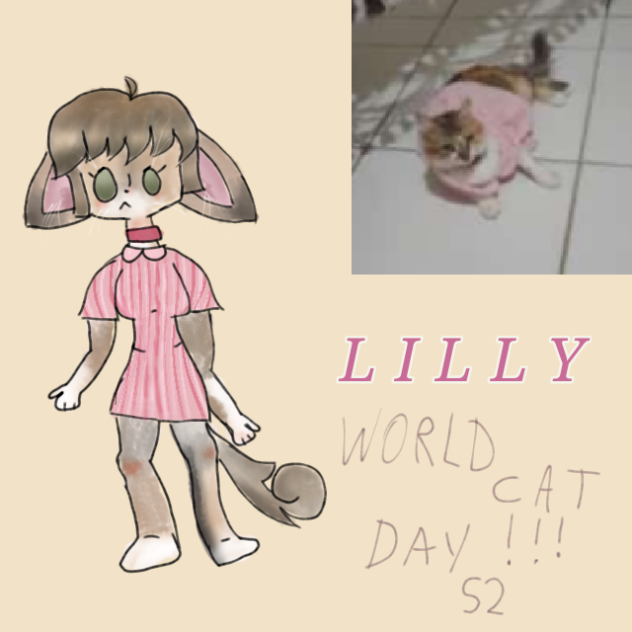 world cat day S2