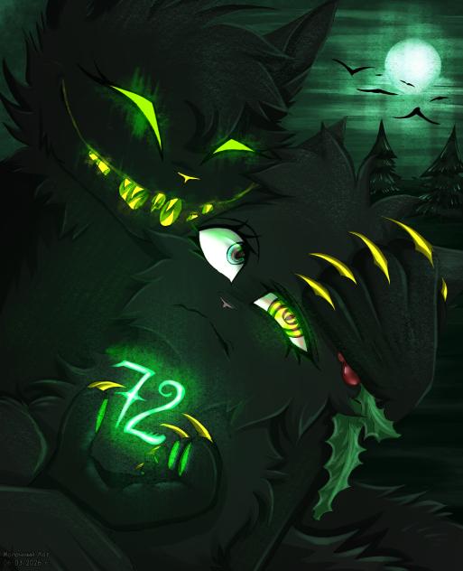 72 + Hollyleaf