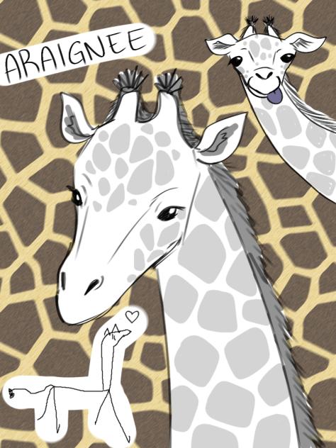 🦒