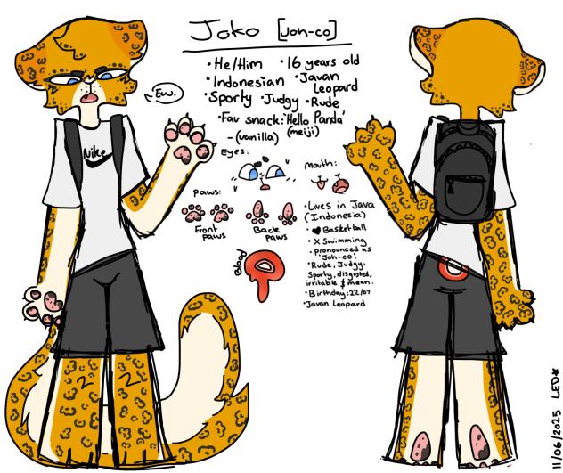 Joko!