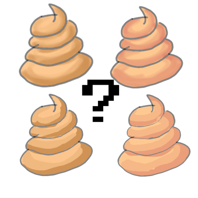 Which do you like the best？