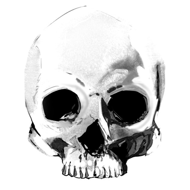 Skull