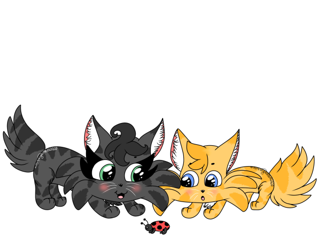 Curious Kittens And The Ladybug -