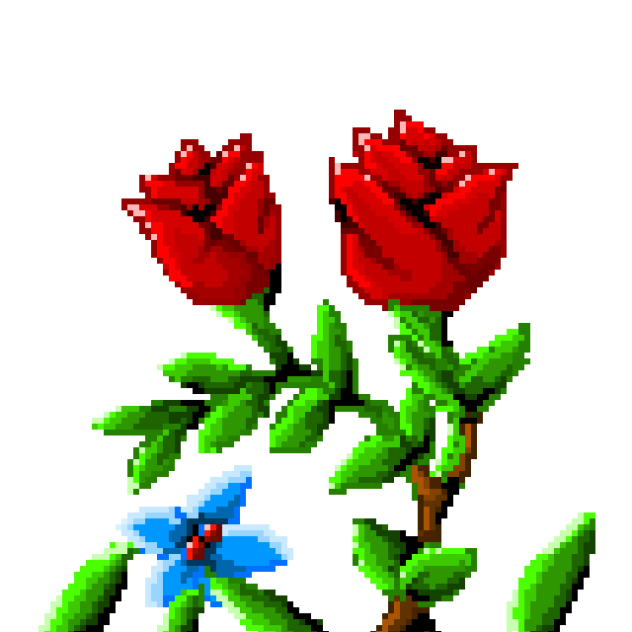 FLOWERS!🌹