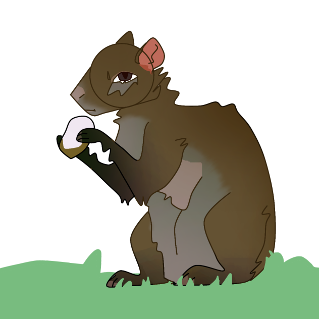 never knew agoutis existed until now lol