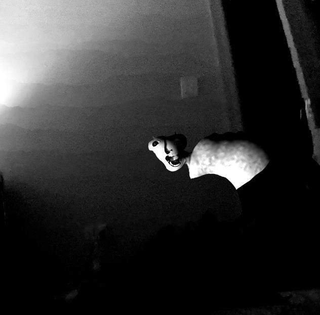 The monster that lives in my closet
