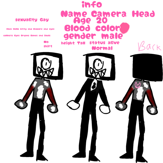 Info About Camera Head