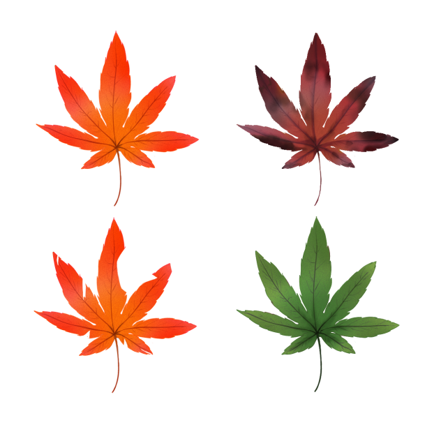 いろんな紅葉