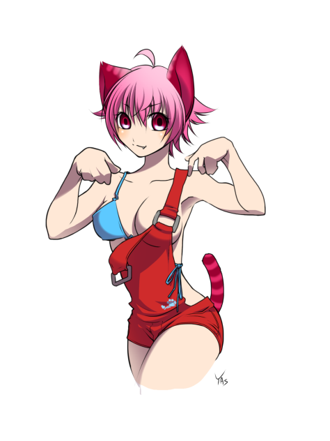 理猫 姫猫ちゃん