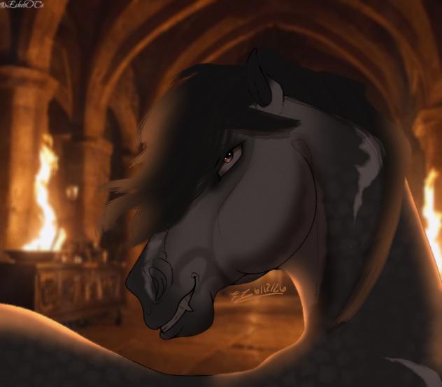 ~ Jaehaerys ~