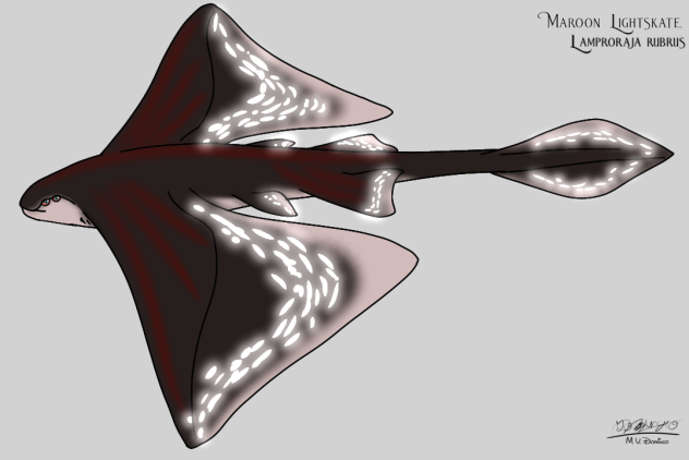 Maroon Lightskate glows
