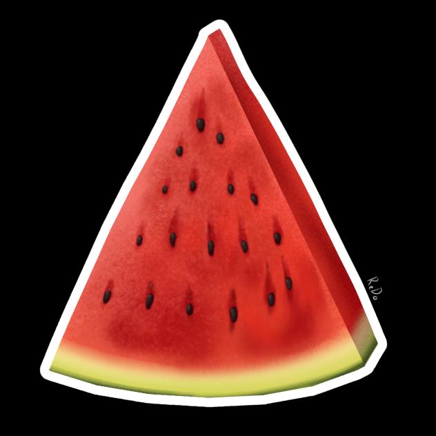 🍉sugar🙋‍♀️
