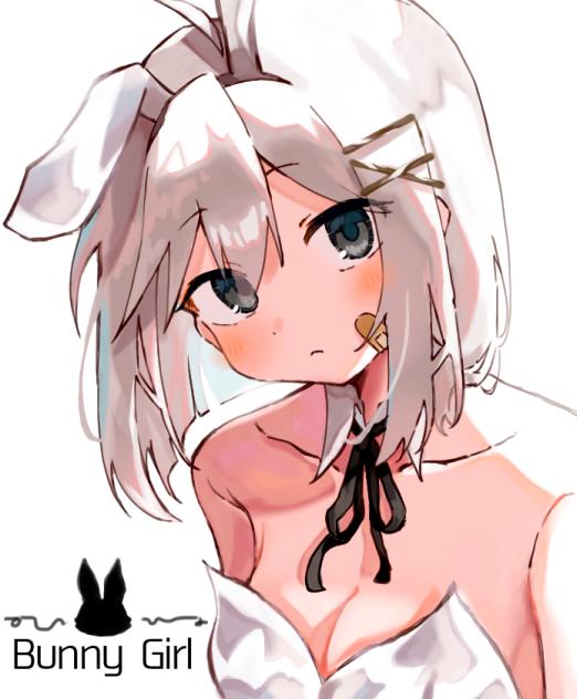 【企画見本】Bunny Girl 🖤