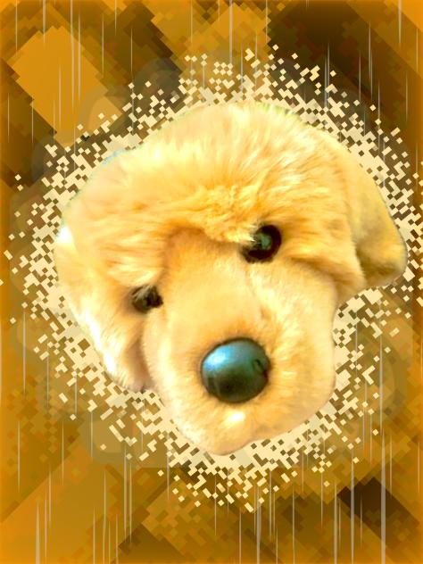 MY NEW ESSA DAISY XDDD