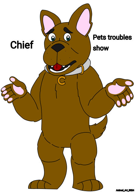 Pets troubles show Chief