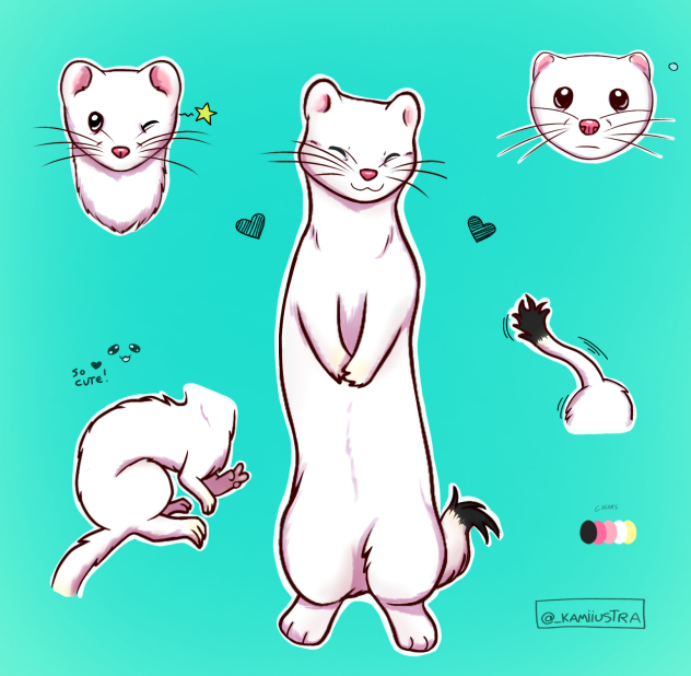 weasel