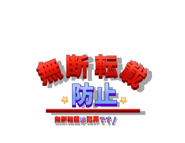 無断転載防止用テキスト