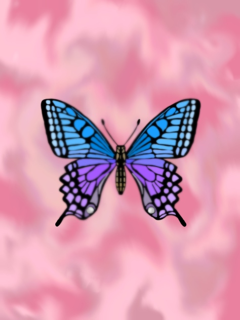 mariposa uwu🦋