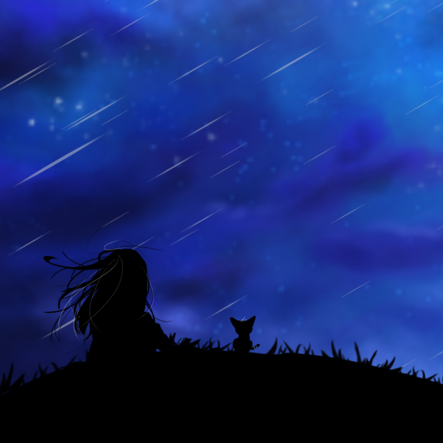 🌃🌟☆彡