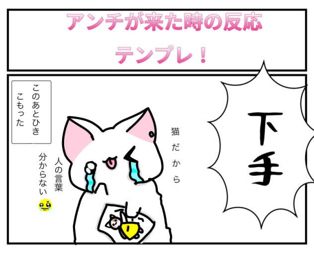 猫だから人の言葉分からない｡ﾟ(ﾟ´Д｀ﾟ)ﾟ｡