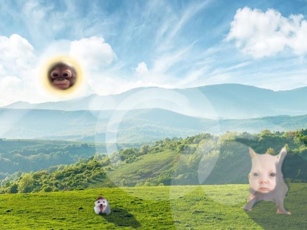 estou aprendendo a editar