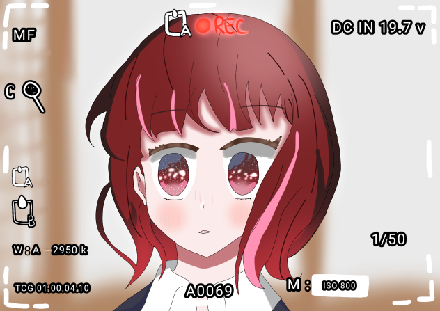 Arima Kana camcorder