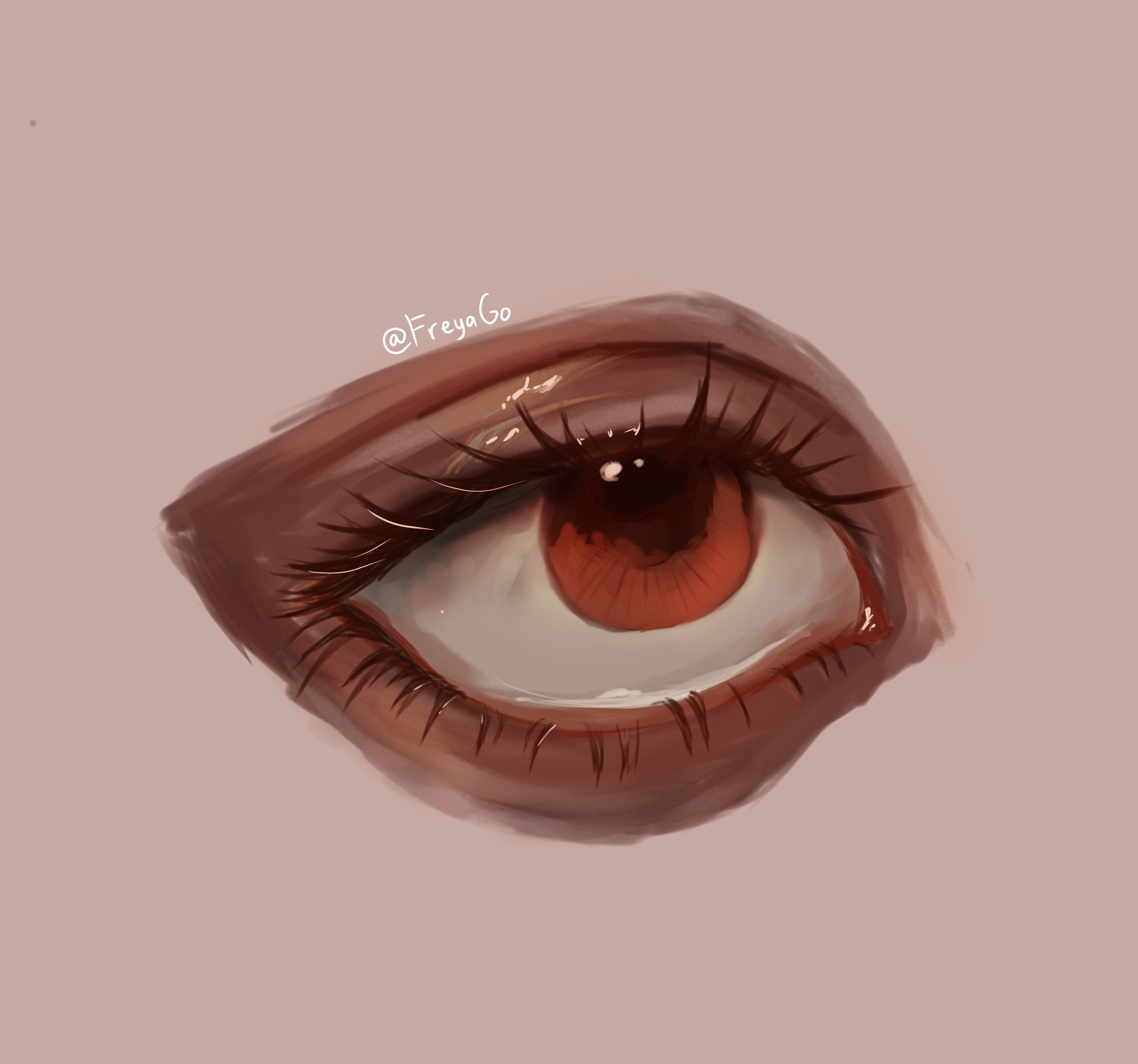 Realistic Eye - ibisPaint