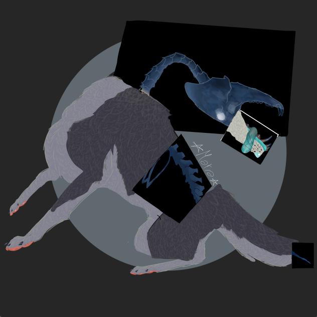 wolf