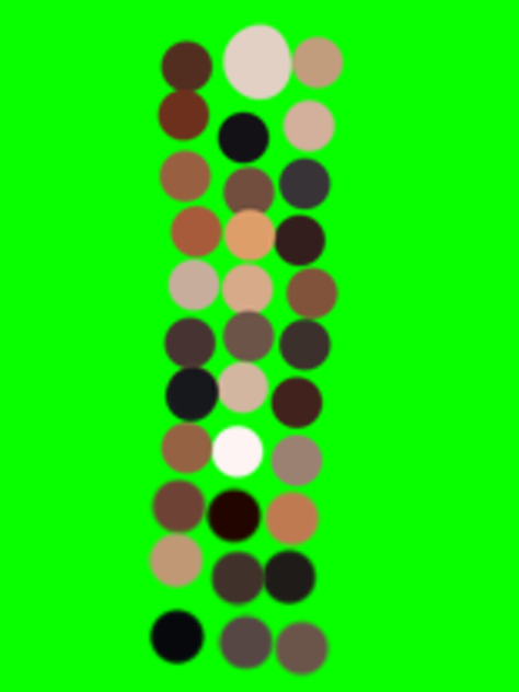 paso 2 obtén la paleta de colores