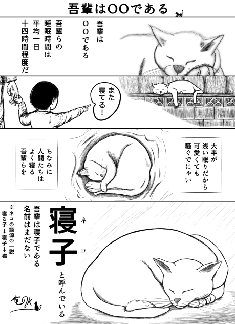 吾輩は○○である