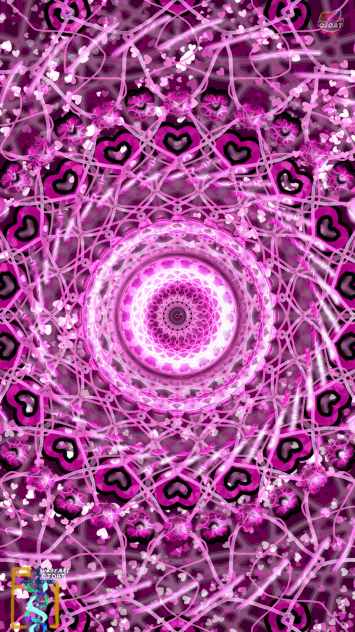 Magenta’s Dreamcatcher
