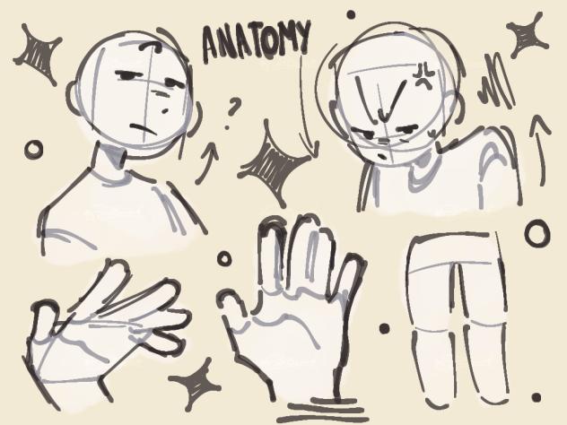 Anatomy Practice