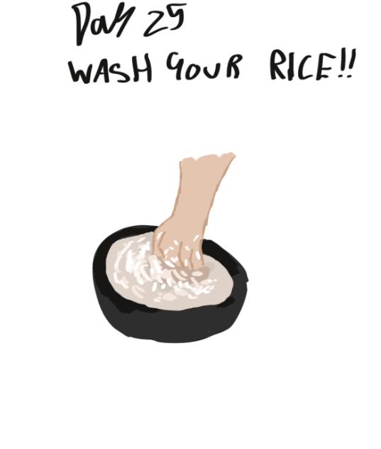 DAY 25,WASH YO DANG RICE!!
